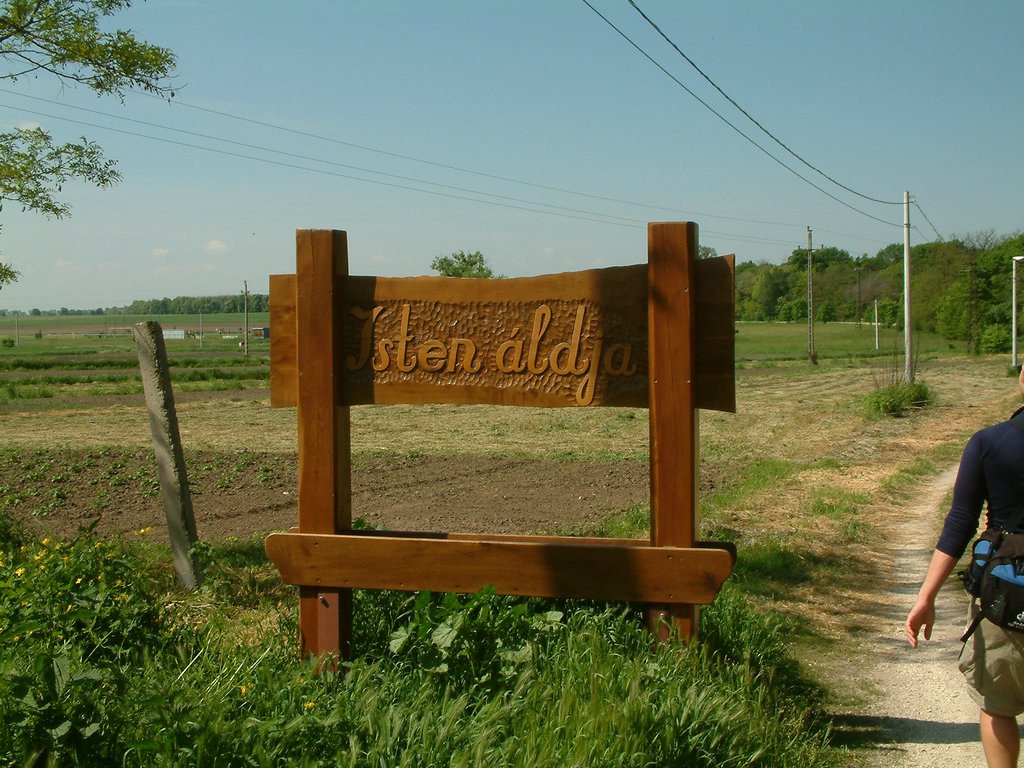 DSCF0040.JPG