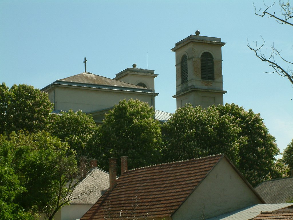 DSCF0043.JPG