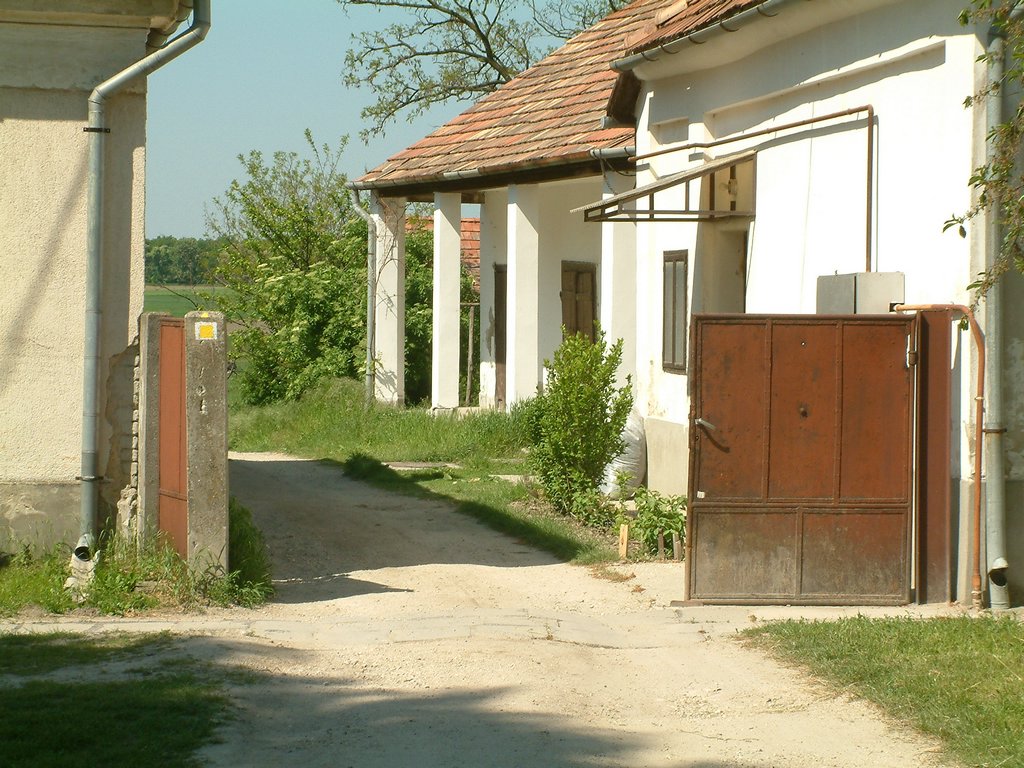 DSCF0045.JPG