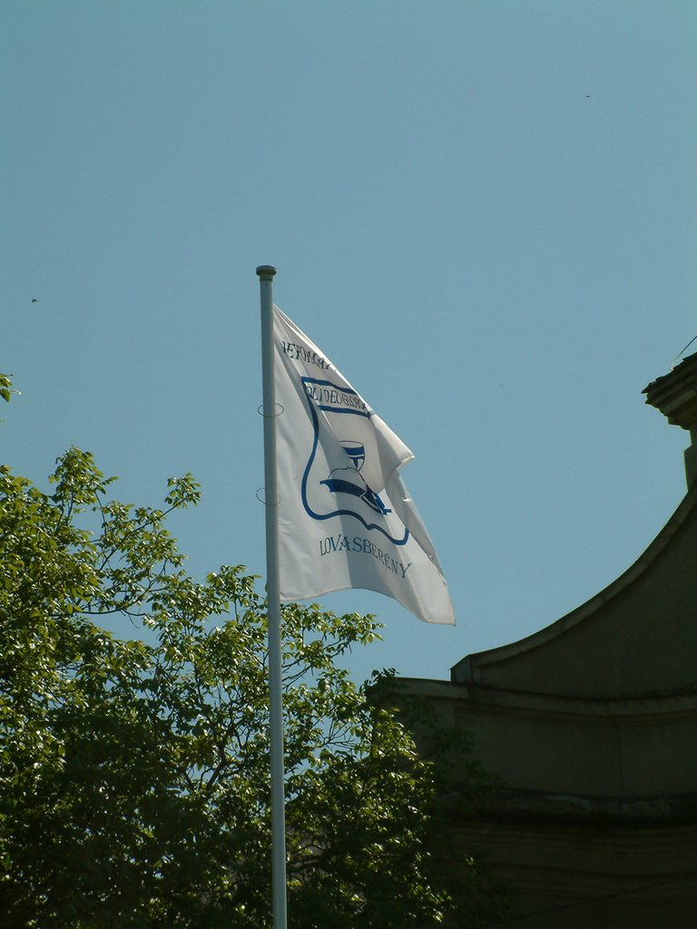DSCF0049.JPG