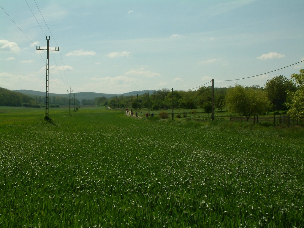 DSCF0050.JPG
