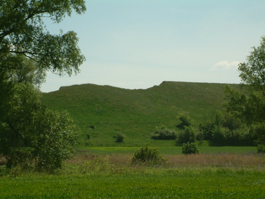 DSCF0051.JPG