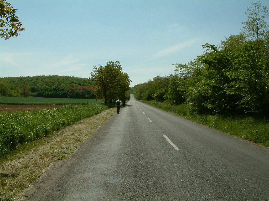 DSCF0053.JPG