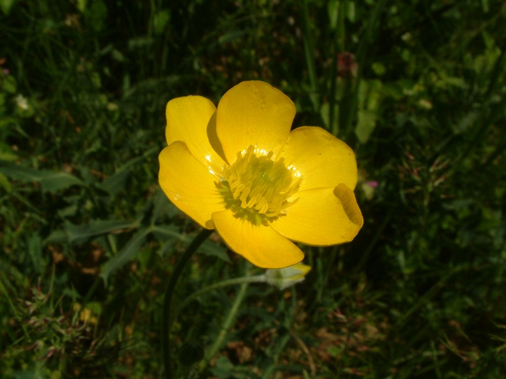 DSCF0057.JPG