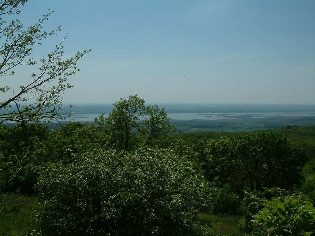 DSCF0058.JPG
