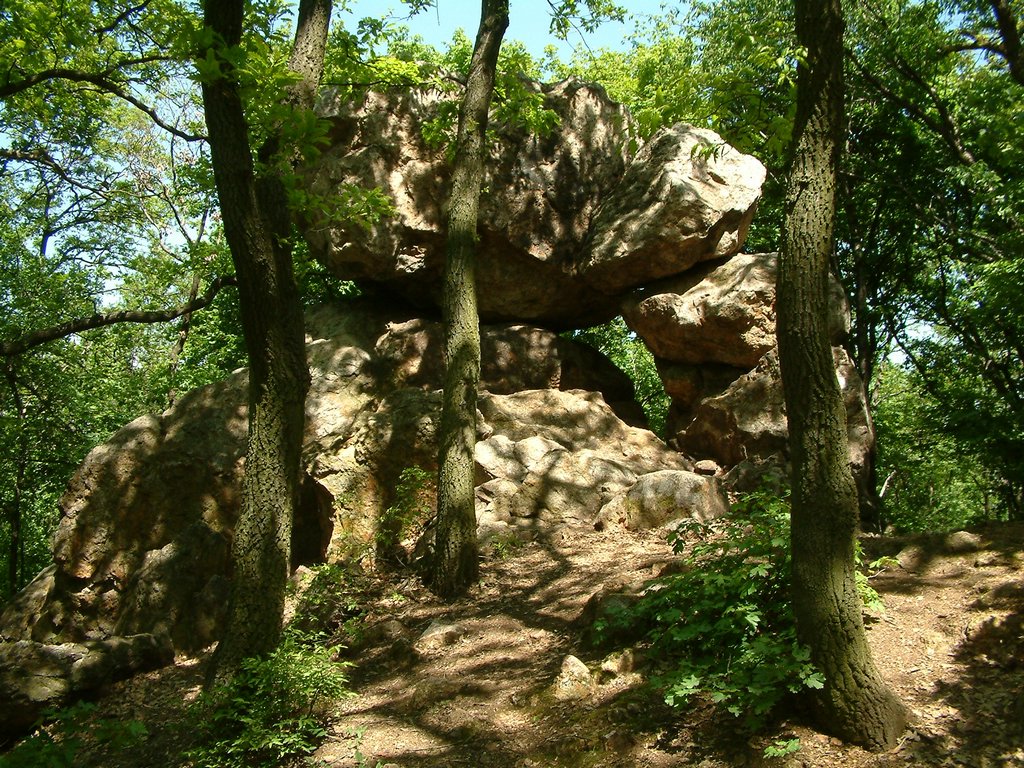 DSCF0060.JPG