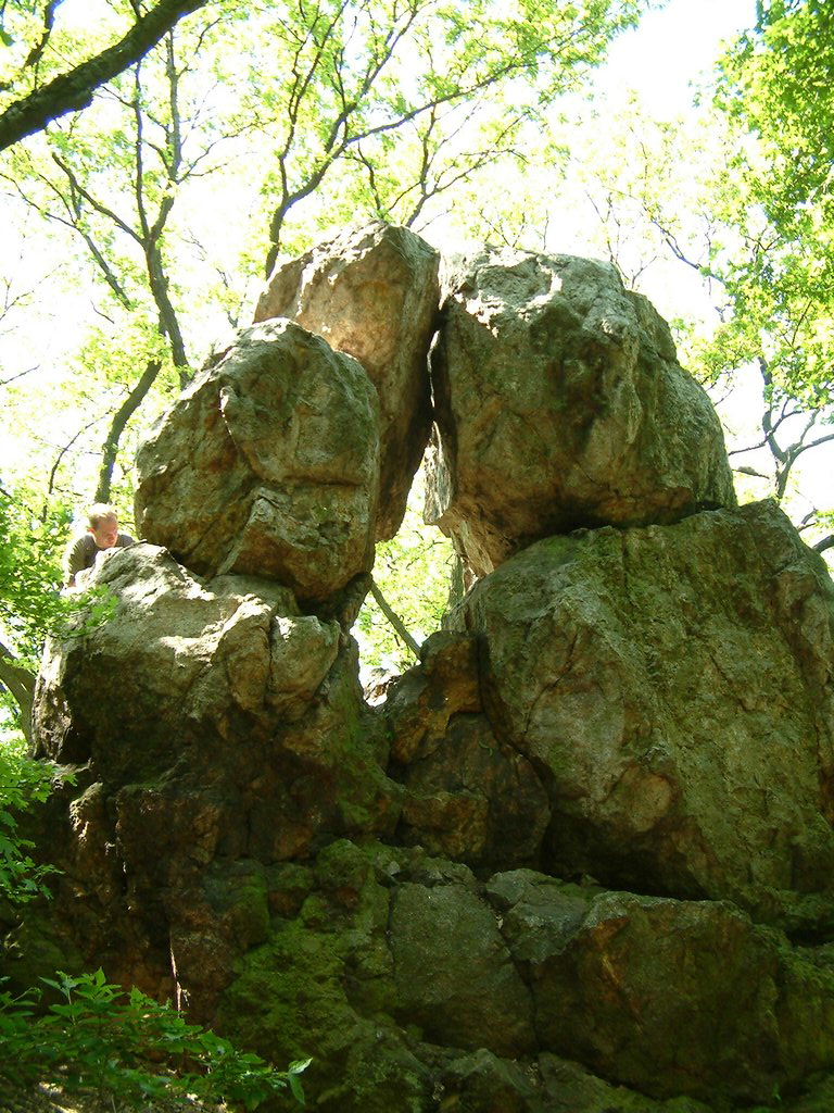 DSCF0062.JPG
