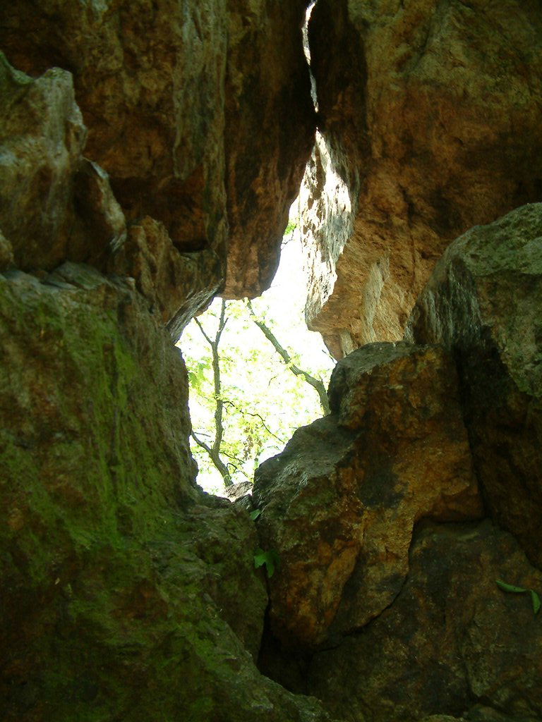 DSCF0063.JPG