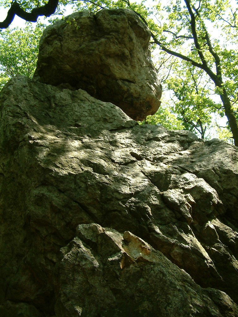 DSCF0066.JPG
