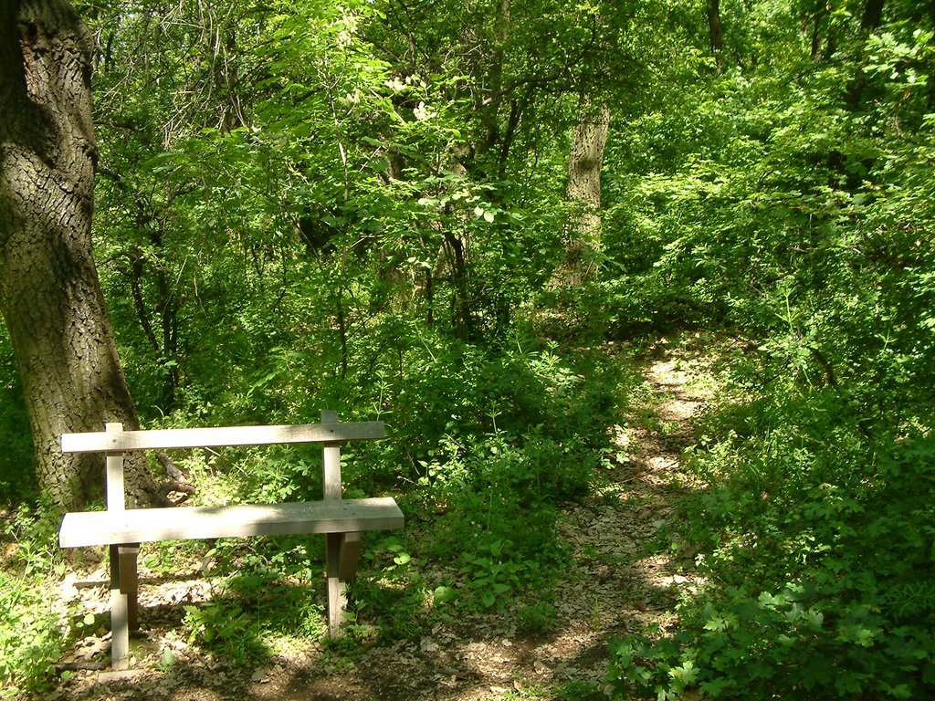 DSCF0068.JPG