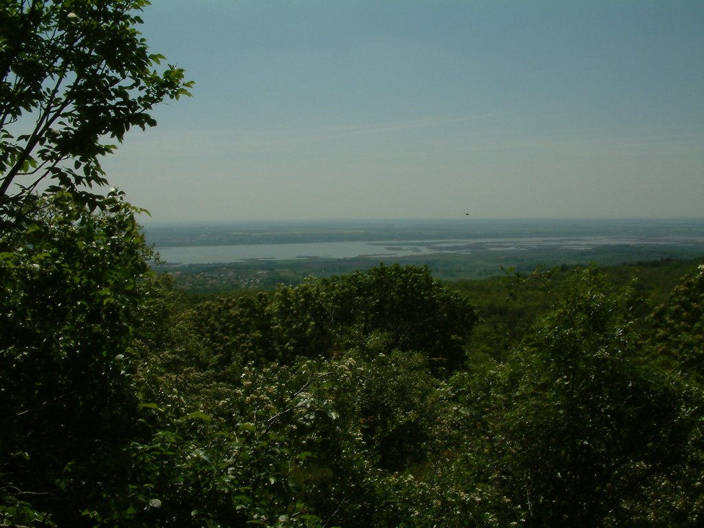 DSCF0069.JPG