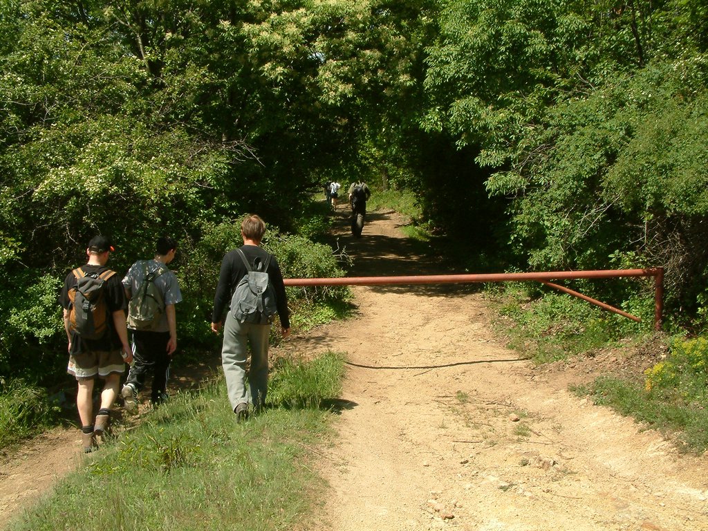 DSCF0070.JPG