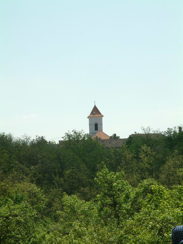 DSCF0073.JPG