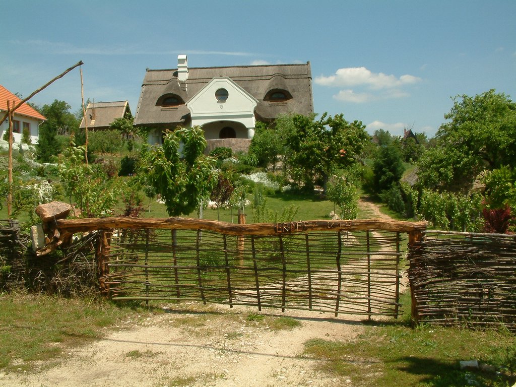 DSCF0081.JPG