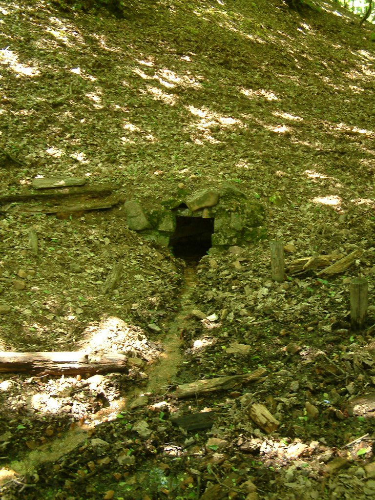 DSCF0082.JPG