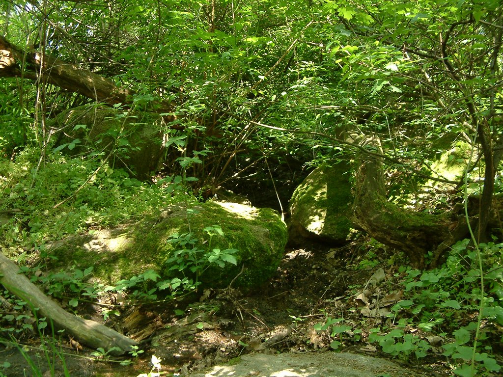 DSCF0083.JPG