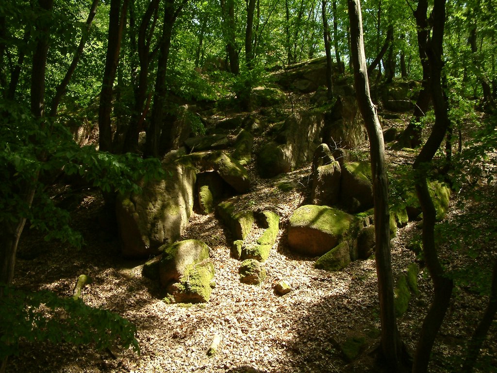 DSCF0086.JPG