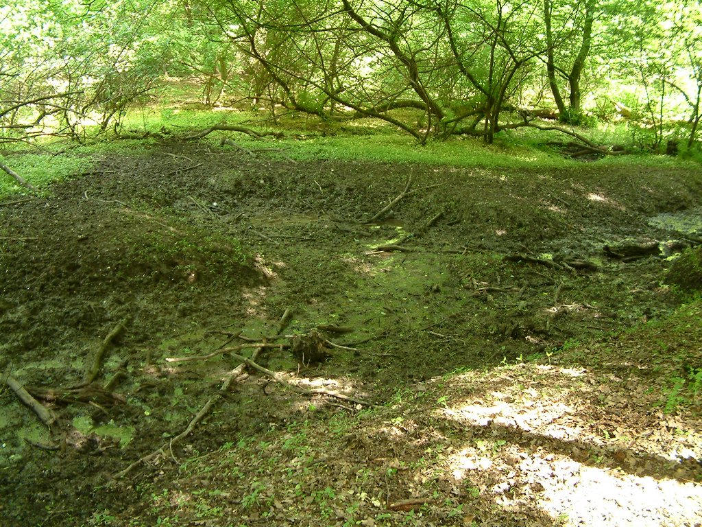 DSCF0093.JPG