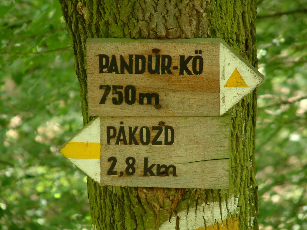 DSCF0100.JPG