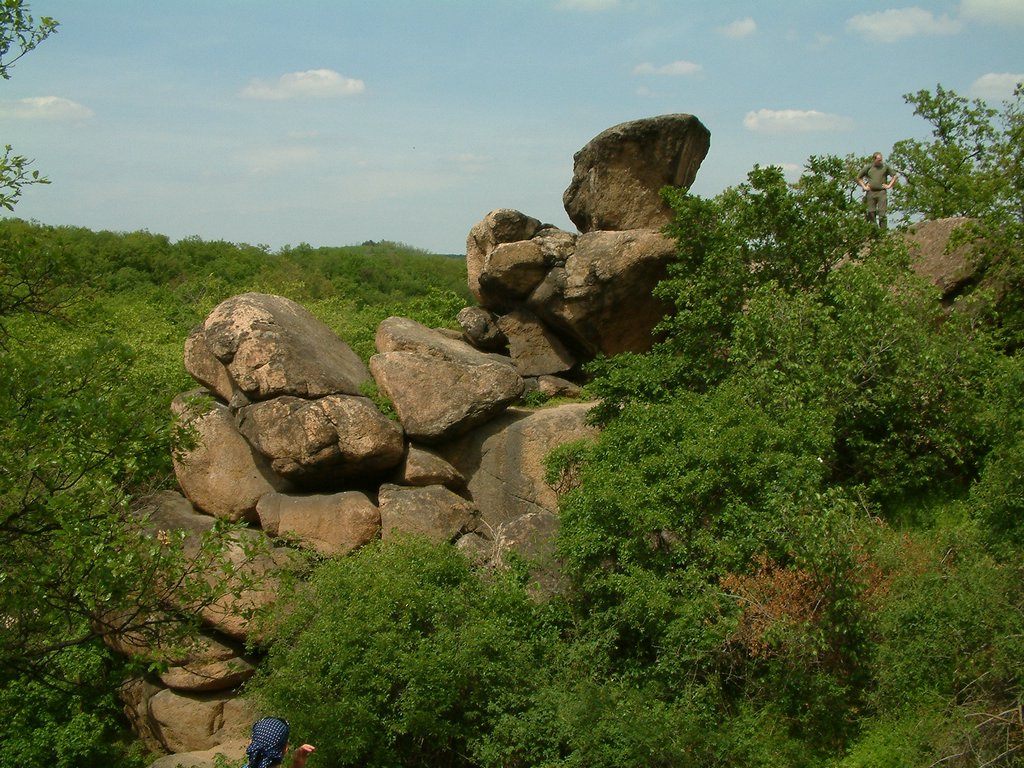 DSCF0102.JPG