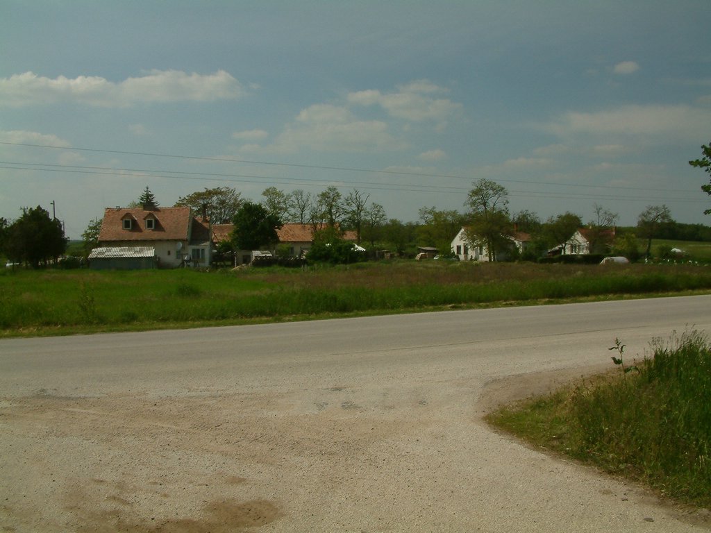 DSCF0118.JPG