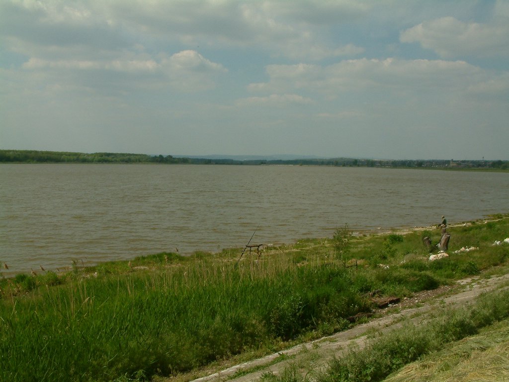 DSCF0121.JPG