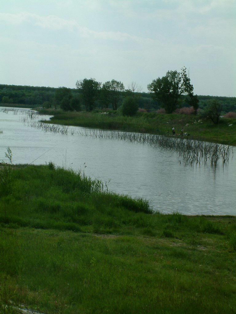 DSCF0125.JPG