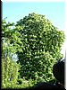 DSCF0004.JPG