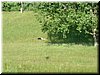 DSCF0005.JPG