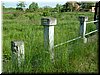 DSCF0011.JPG