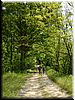 DSCF0012.JPG