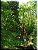 DSCF0027.JPG