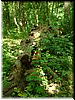 DSCF0028.JPG