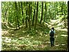 DSCF0054.JPG