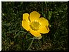 DSCF0057.JPG