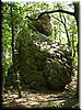 DSCF0065.JPG