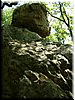 DSCF0066.JPG