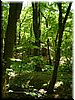 DSCF0072.JPG