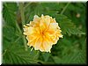 DSCF0077.JPG