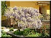 DSCF0078.JPG