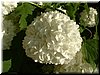 DSCF0079.JPG
