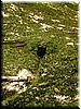 DSCF0082.JPG
