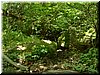 DSCF0083.JPG