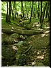 DSCF0084.JPG