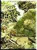 DSCF0085.JPG