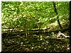 DSCF0088.JPG