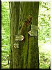 DSCF0091.JPG