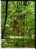 DSCF0092.JPG