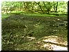 DSCF0093.JPG