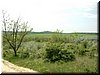 DSCF0095.JPG